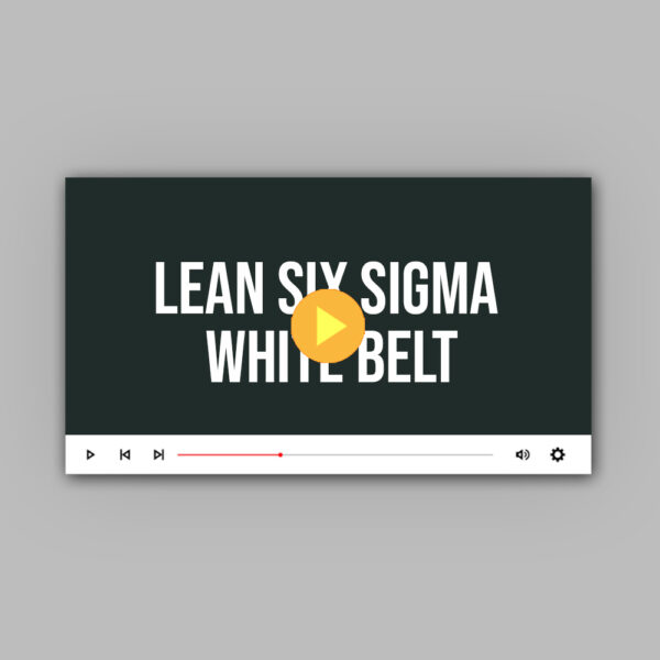 Lean Six Sigma White Belt | Vision Certification